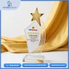 Kỷ niệm chương ngôi sao vàng Vietinbank cao cấp, chất liệu pha lê K9, in khắc nội dung vinh danh sắc nét theo yêu cầu.