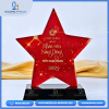 Kỷ niệm chương ngôi sao đỏ ánh nhũ ghi nhận tinh thần làm việc tích cực.