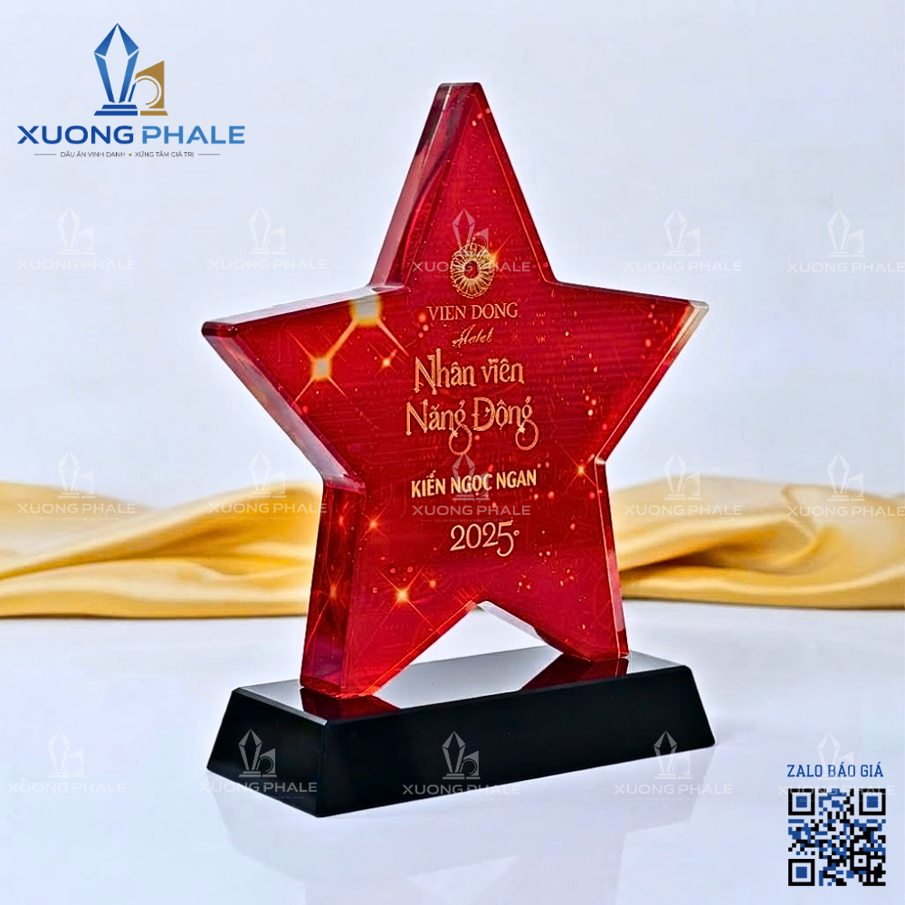 Kỷ niệm chương ngôi sao màu đỏ ánh nhũ dành cho cá nhân năng động.